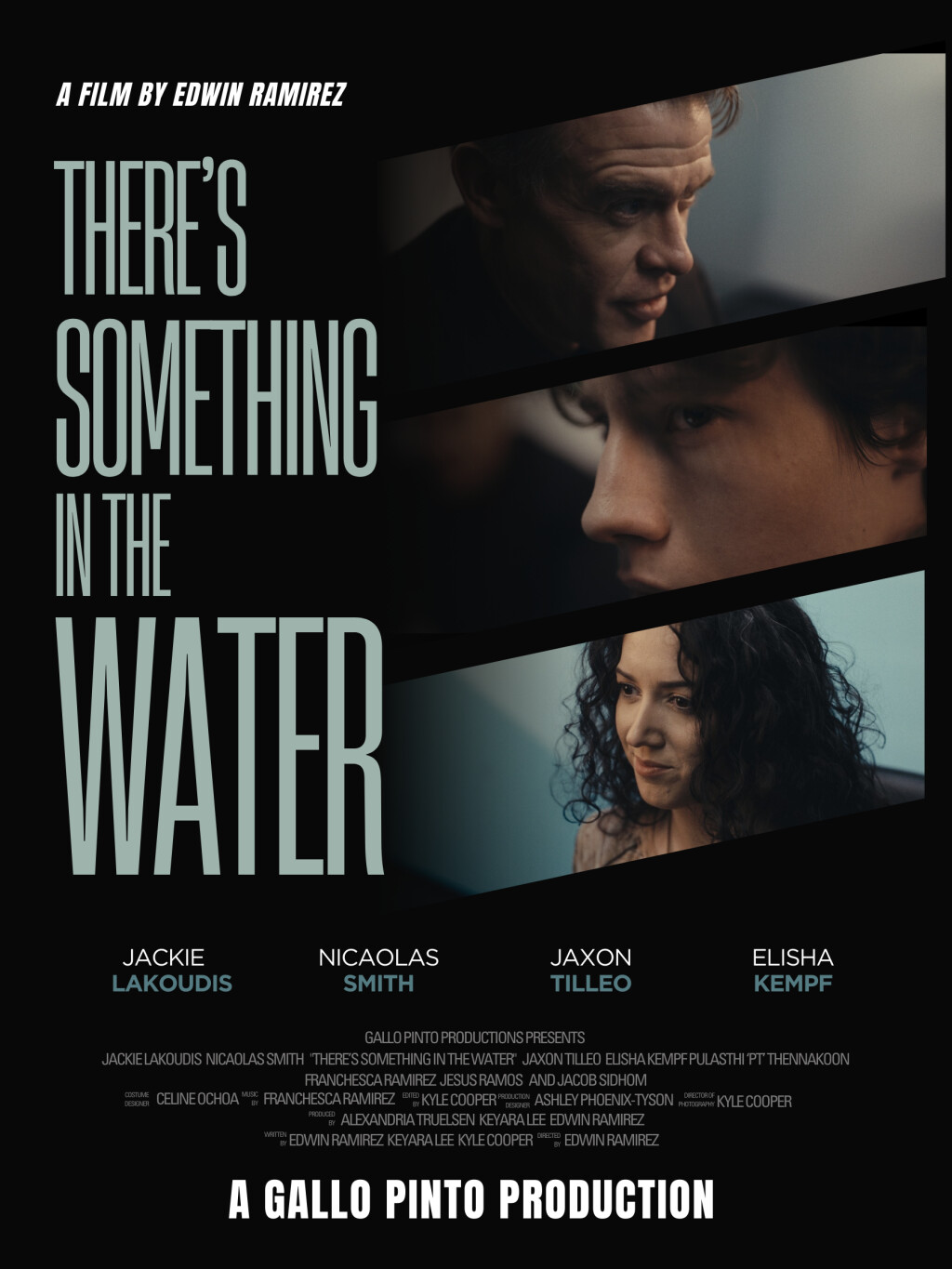 Filmposter for There's Something in the Water